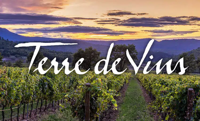 terre-de-vins-creation-emailing