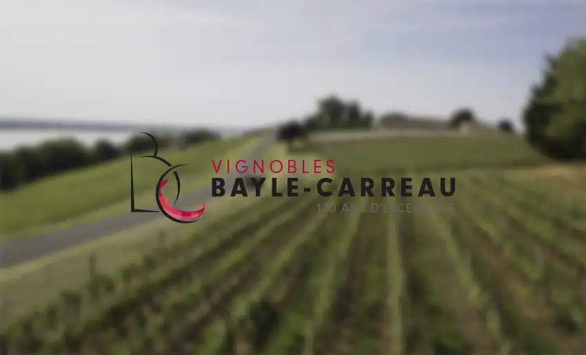 bayle-carreau-videos-vendanges